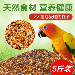 饲料营养鹩哥鸟食百灵画眉繁殖期专用乌鸫喜鹊雏麻雀软食首康丽34