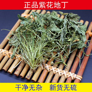 铭睿康地丁中药材紫花地丁新货无硫全草地丁500g包邮地丁草地丁茶