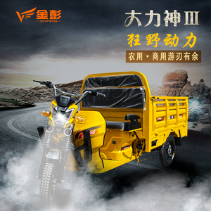 电动三轮车拉货载重王大力神
