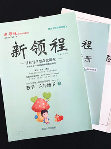 六年级数学下册新领程