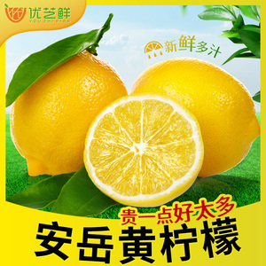 黄柠檬新鲜皮薄一级5斤装四川安岳柠檬果商用整箱多汁水果柠萌