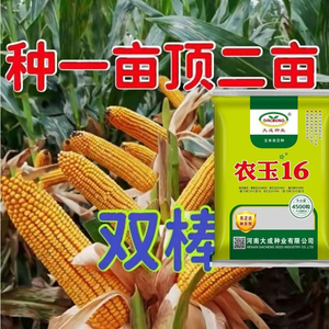 玉米种子大全新国审双胞胎适合云贵川南北方苞谷种红轴矮棵高产