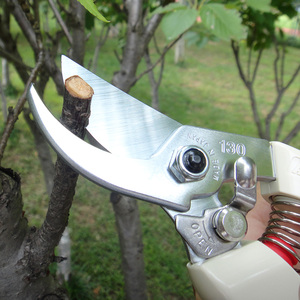 日本进口爱丽斯修枝剪爱丽丝130dx花剪园艺剪园林剪刀果树剪剪子