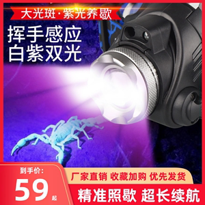 照蝎子专用灯紫光灯大功率led强光超亮头戴式便携手电筒超长续航