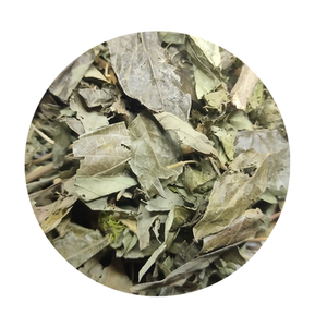 野生鲫鱼胆草100克中药草药中草药药材新鲜鲫鱼胆苗岑心空心花包