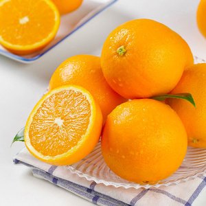 植物君优选精品秭归伦晚脐橙3/5/10斤甜橙子 新鲜时令水果整箱包