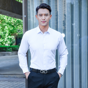 春季商务正装青年男士长袖白色衬衫韩式大码休闲百搭上班面试寸衫