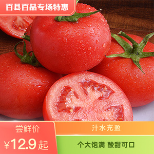 河南普罗旺斯西红柿新鲜自然熟可生吃水果番茄柿子蔬菜酸甜包邮