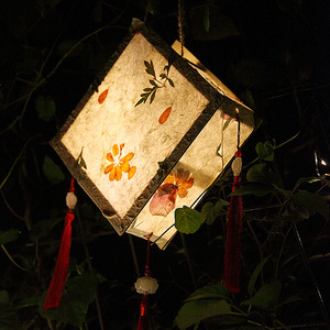 创意古风手提花灯元宵节手工活动灯笼diy汉服花草纸材料宫灯新款