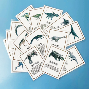 恐龙卡片幼儿
