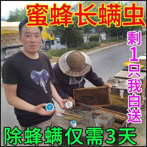 山西蜂业淘宝蜜蜂杀螨满扑挂片山西振兴英文国际一顶四鑫螨扑治大小