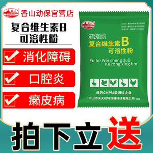 香山复合维生素b可溶性粉兽用牛羊猪开胃促消化口腔炎鸡鸭鹅禽药