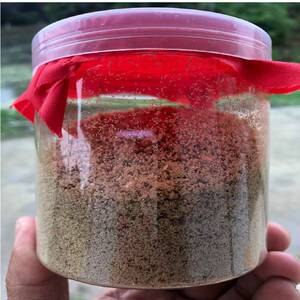 包邮黑水虻虫卵50克起售技术指导18961735855同v亦凤凰虫卵无锡发