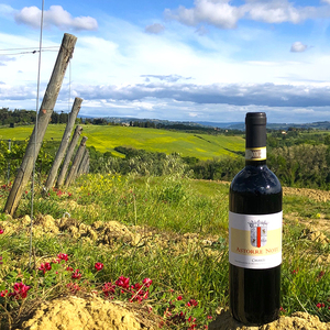 意大利经典基安蒂托斯卡纳法定区原瓶干红葡萄酒红酒chiantidocg