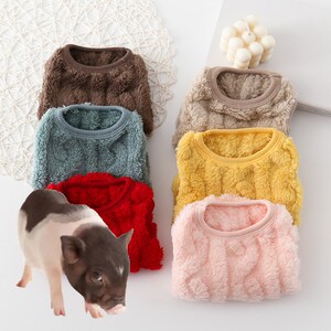 小香猪荷兰夏天薄款防晒凉衣宠物猪衣服生活小香猪穿的荷兰泰国