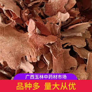 金钢头 金刚头拨契铁菱角乌鱼刺新鲜靓货中药材野生新货500g包邮