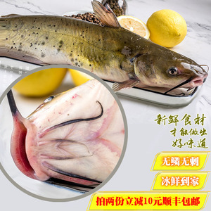 江团鱼包邮鲜活