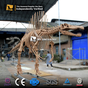 定制大型仿真恐龙骨架化石 棘龙景区室内餐厅橱窗装饰模型玩具