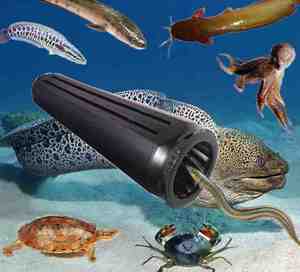 三驰渔具大海鳗鱼笼鳝鱼黄鳝塑料倒须泥鳅虾笼圆形15cm自动捕鱼笼