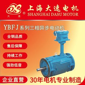 上海大速直销YBFJ系列三相异步电动机风机水泵用防爆型高压电机