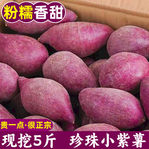 正宗越南小紫薯珍珠板栗紫薯新鲜进口现挖农家自种粉糯香甜紫薯5
