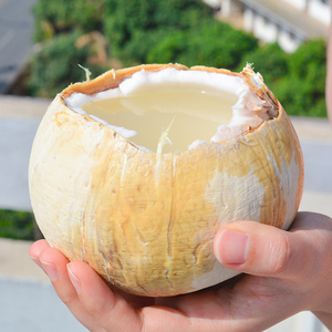 泰国进口牛奶椰皇奶香椰汁小椰子6个8大椰青新鲜孕妇水果顺丰包邮