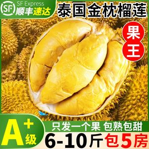 【A+级】泰国金枕榴莲新鲜水果单果10斤一级带壳整果进口顺丰包邮