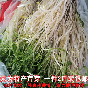 水芹菜新鲜5斤安徽无为特产芹芽农家自种现挖新鲜蔬菜青芽菜现摘