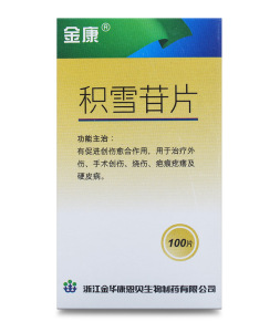 积雪苷片100