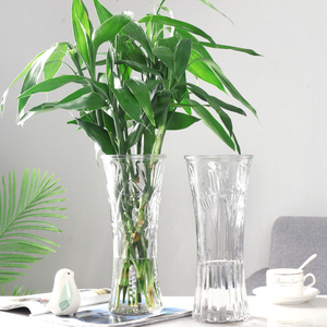 大号透明玻璃花瓶水培百合观音富贵竹鲜花插花瓶客厅家用摆件专用