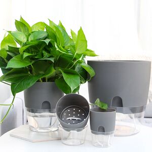 透明塑料盆景绿萝盆加厚圆形大号懒人花盆自吸水免浇水北欧花盆