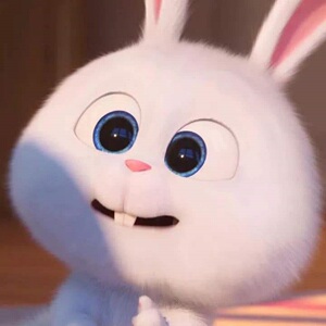 爱宠大机密兔子抱枕