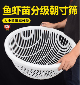 塑料鱼筛黄颡鱼泥鳅龙虾鱼苗大小分级苗种鲫鱼分虾器漏虾不伤鱼筛