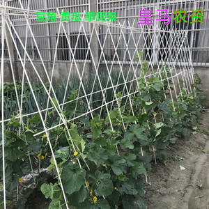 黄瓜架子爬藤架家用架杆植物支架攀爬豆角丝瓜藤架番茄茄子苗支撑