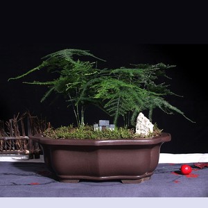 林园绿化瓷盘紫砂盆景花盆长方形石景水池中型面盆花盘四方形家居