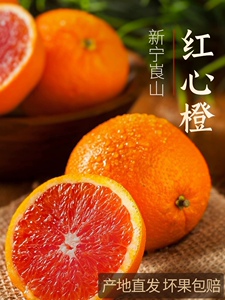湖南新宁崀山红心脐橙当季孕妇水果整箱5/10斤装包邮现摘新鲜橙子