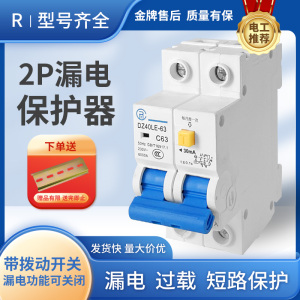 上海人民电力DZ40空气开关带漏电保护器2P63A家用小型漏保占两位