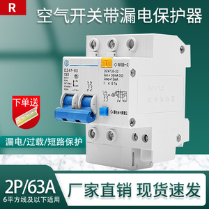 上海人民电力漏电开关2P63A DZ47LE 双极空气开关带漏电保护器C45