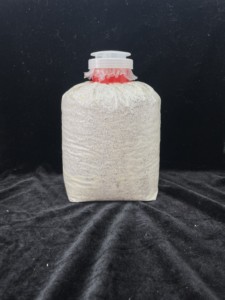 甲虫菌包 菌瓶  雨林系列菌瓶 锹甲
