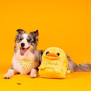 40tb707616050淘宝宠物狗狗