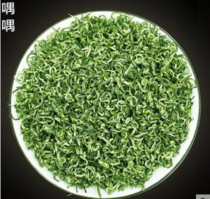 喁喁 贵定云雾茶 鸟王茶 正宗贵州贵定2024新春嫩绿茶叶明前特级