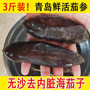 3斤新鲜茄参深海大乌参去内脏冷冻海参海茄子野生大乌参