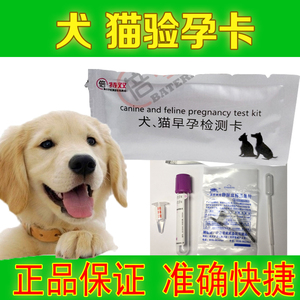 犬猫怀孕早孕试纸狗狗猫咪验孕棒早早孕检测猫狗测孕金毛泰迪英短