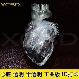 3d打印医疗透明水晶心脏模型左心房右心脏肝脏肾脏胃部医学定制
