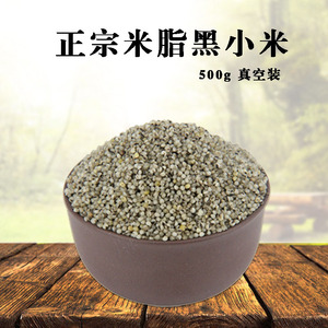 黑小米2021新米陕北特产米脂黑小米农家自产种黑小米杂粮500g真空