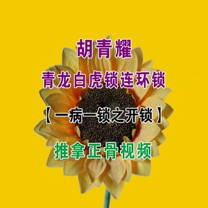 青龙白虎锁连环锁