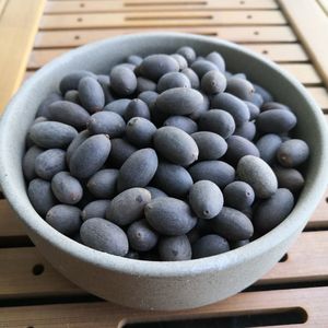 微型碗莲种子微莲子迷你观赏小荷花莲花种籽子小盆栽水生水培植物