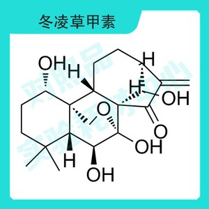 冬凌草甲素