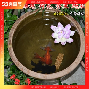 大水缸老式储水家用陶瓷大号养鱼瓦缸粗陶缸陶土小瓷睡莲盆腌菜缸