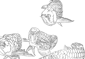 工笔画底稿 工笔金龙鱼9鱼图斗方白描打印稿宣纸稿无彩色图